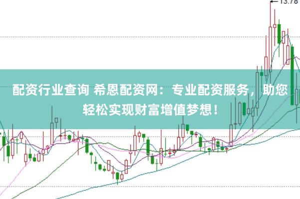 配资行业查询 希恩配资网：专业配资服务，助您轻松实现财富增值梦想！