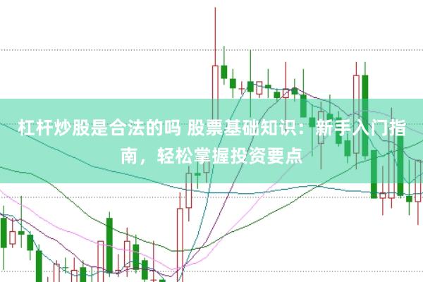 杠杆炒股是合法的吗 股票基础知识：新手入门指南，轻松掌握投资要点