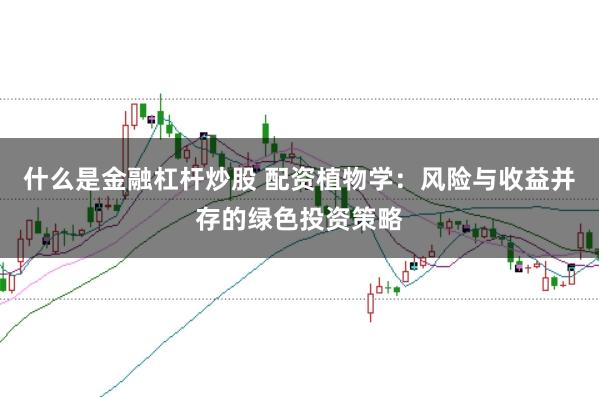 什么是金融杠杆炒股 配资植物学：风险与收益并存的绿色投资策略