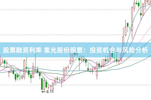 股票融资利率 紫光股份股票：投资机会与风险分析