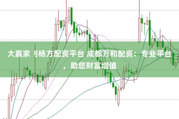大赢家刂杨方配资平台 成都万和配资：专业平台，助您财富增值
