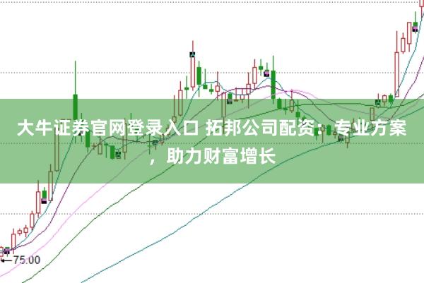 大牛证券官网登录入口 拓邦公司配资：专业方案，助力财富增长