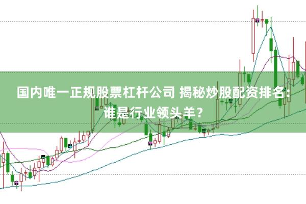 国内唯一正规股票杠杆公司 揭秘炒股配资排名：谁是行业领头羊？