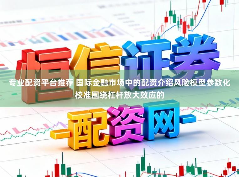 专业配资平台推荐 国际金融市场中的配资介绍风险模型参数化校准围绕杠杆放大效应的