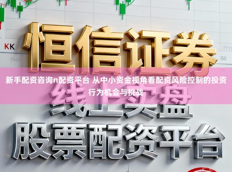 新手配资咨询n配资平台 从中小资金视角看配资风险控制的投资行为机会与挑战