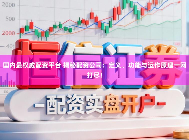 国内最权威配资平台 揭秘配资公司：定义、功能与运作原理一网打尽！