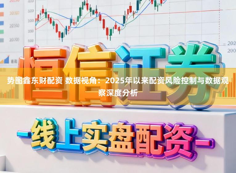 势图鑫东财配资 数据视角：2025年以来配资风险控制与数据观察深度分析